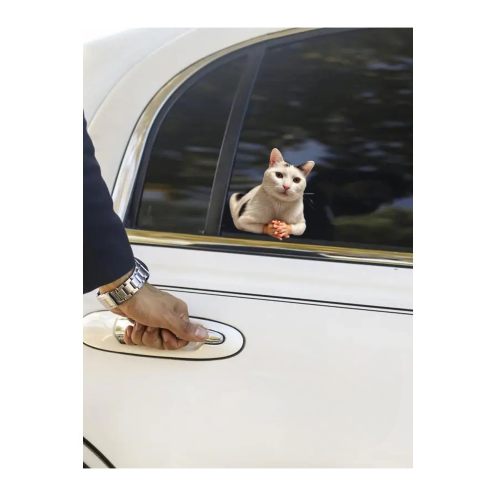 Çılgın Kediler Yapışkanlı Sticker 3 - Eğlenceli Tasarım