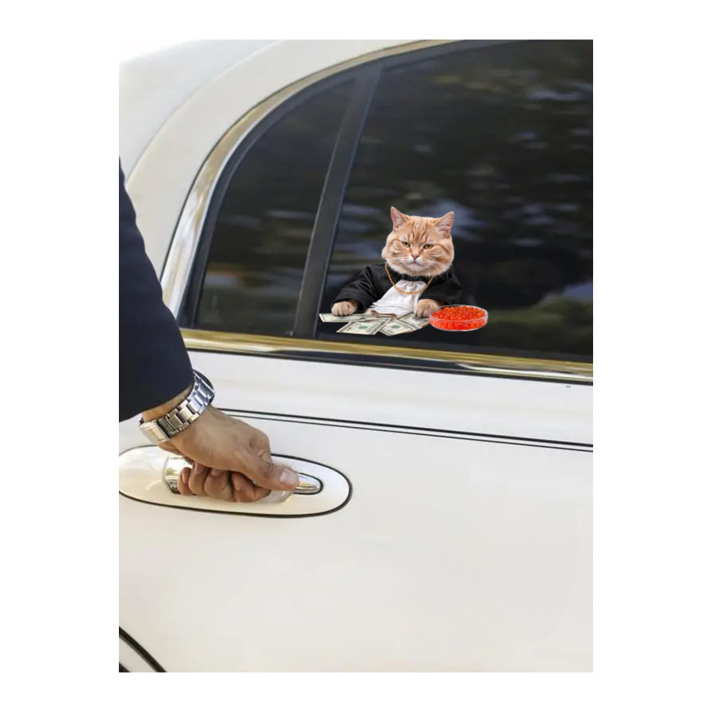 Çılgın Kediler Yapışkanlı Sticker 5 - Eğlenceli Tasarım