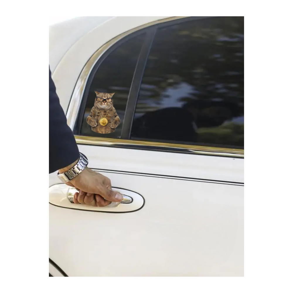 Çılgın Kediler Yapışkanlı Sticker 14 - Eğlenceli Tasarım