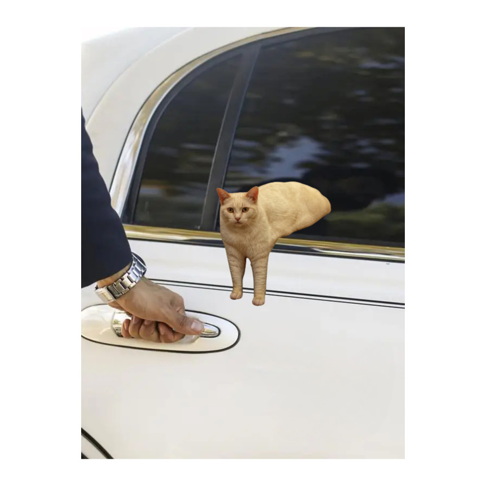 Çılgın Kediler Yapışkanlı Sticker 8 - Eğlenceli Tasarım