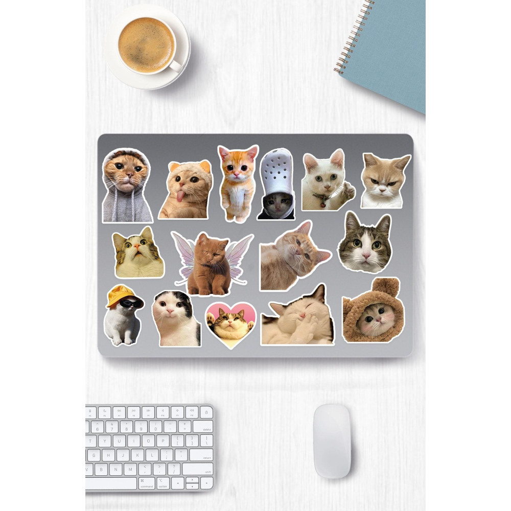 Kedi Temalı Sticker Etiket Seti - Cat Sticker