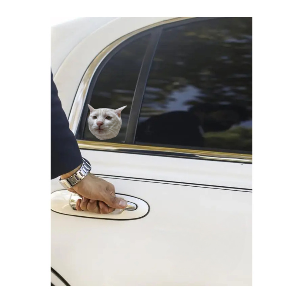 Çılgın Kediler Yapışkanlı Sticker 10 - Eğlenceli Tasarım