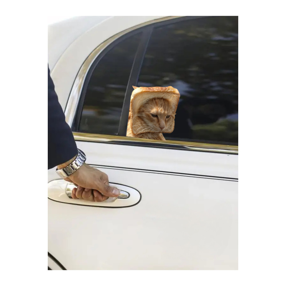 Çılgın Kediler Yapışkanlı Sticker 4 - Eğlenceli Tasarım