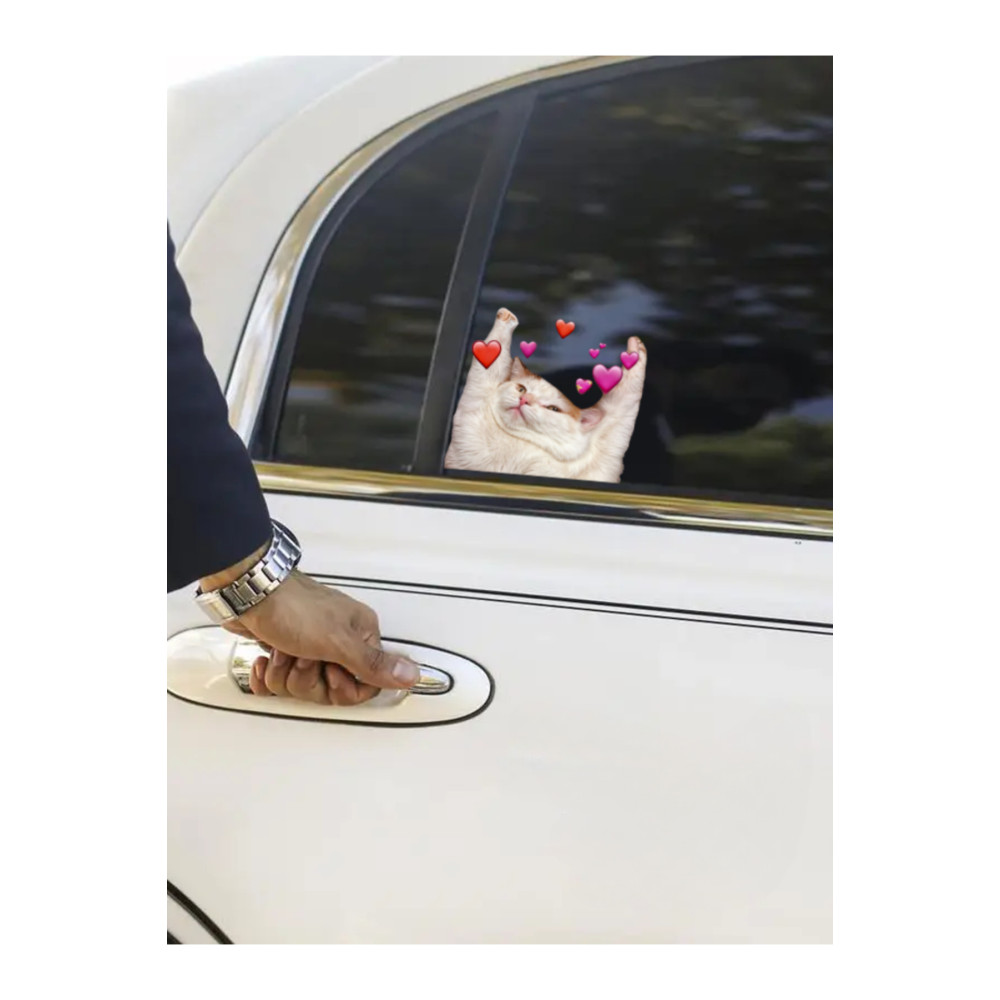 Çılgın Kediler Yapışkanlı Sticker 2 - Eğlenceli Tasarım