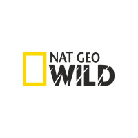 Nat Geo Wıld Netgeowild Sticker 20x7,5 Cm