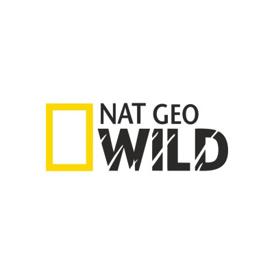 Nat Geo Wıld Netgeowild Sticker 20x7,5 Cm